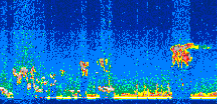 /calipso-imagery/data/BROWSE/production/V5-00/2021-10-06/2021-10-06_01-13-44_V5.00_2_thmb.png image missing