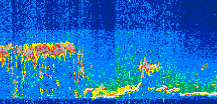 /calipso-imagery/data/BROWSE/production/V5-00/2021-10-06/2021-10-06_06-09-14_V5.00_3_thmb.png image missing