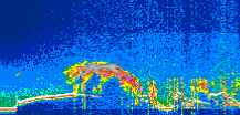 /calipso-imagery/data/BROWSE/production/V5-00/2021-10-06/2021-10-06_11-04-45_V5.00_1_thmb.png image missing