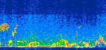 /calipso-imagery/data/BROWSE/production/V5-00/2021-10-06/2021-10-06_12-43-15_V5.00_3_thmb.png image missing