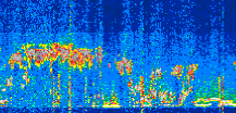 /calipso-imagery/data/BROWSE/production/V5-00/2021-10-06/2021-10-06_19-17-16_V5.00_3_thmb.png image missing