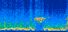 /calipso-imagery/data/BROWSE/production/V5-00/2021-11-04/2021-11-04_01-19-15_V5.00_2_thmb.png image missing