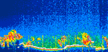/calipso-imagery/data/BROWSE/production/V5-00/2021-11-04/2021-11-04_06-14-45_V5.00_1_thmb.png image missing