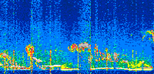 /calipso-imagery/data/BROWSE/production/V5-00/2021-11-04/2021-11-04_06-14-45_V5.00_2_thmb.png image missing
