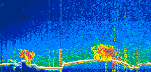 /calipso-imagery/data/BROWSE/production/V5-00/2021-11-04/2021-11-04_09-31-46_V5.00_1_thmb.png image missing