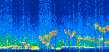 /calipso-imagery/data/BROWSE/production/V5-00/2021-11-04/2021-11-04_12-48-46_V5.00_2_thmb.png image missing