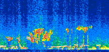 /calipso-imagery/data/BROWSE/production/V5-00/2021-11-04/2021-11-04_22-39-47_V5.00_2_thmb.png image missing
