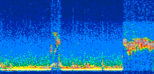 /calipso-imagery/data/BROWSE/production/V5-00/2021-11-06/2021-11-06_02-34-21_V5.00_3_thmb.png image missing