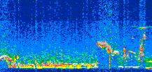 /calipso-imagery/data/BROWSE/production/V5-00/2021-11-06/2021-11-06_05-51-22_V5.00_2_thmb.png image missing