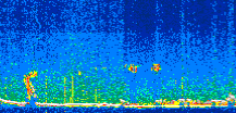 /calipso-imagery/data/BROWSE/production/V5-00/2021-11-06/2021-11-06_09-08-22_V5.00_2_thmb.png image missing