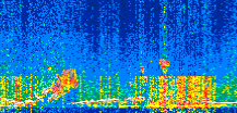 /calipso-imagery/data/BROWSE/production/V5-00/2021-11-06/2021-11-06_14-03-53_V5.00_2_thmb.png image missing