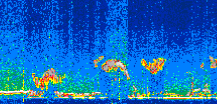 /calipso-imagery/data/BROWSE/production/V5-00/2021-11-06/2021-11-06_23-54-54_V5.00_2_thmb.png image missing