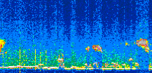 /calipso-imagery/data/BROWSE/production/V5-00/2021-11-07/2021-11-07_03-11-54_V5.00_2_thmb.png image missing
