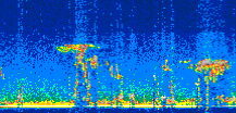/calipso-imagery/data/BROWSE/production/V5-00/2021-11-07/2021-11-07_03-11-54_V5.00_3_thmb.png image missing