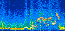 /calipso-imagery/data/BROWSE/production/V5-00/2021-11-07/2021-11-07_04-50-24_V5.00_2_thmb.png image missing