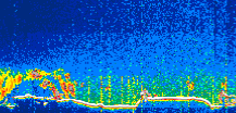 /calipso-imagery/data/BROWSE/production/V5-00/2021-11-07/2021-11-07_06-28-55_V5.00_1_thmb.png image missing