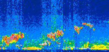 /calipso-imagery/data/BROWSE/production/V5-00/2021-11-07/2021-11-07_11-24-25_V5.00_2_thmb.png image missing