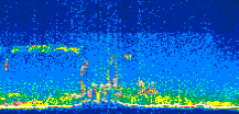 /calipso-imagery/data/BROWSE/production/V5-00/2021-11-07/2021-11-07_11-24-25_V5.00_3_thmb.png image missing