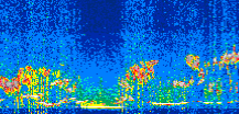 /calipso-imagery/data/BROWSE/production/V5-00/2021-11-07/2021-11-07_13-02-55_V5.00_2_thmb.png image missing