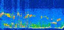 /calipso-imagery/data/BROWSE/production/V5-00/2021-11-07/2021-11-07_13-02-55_V5.00_3_thmb.png image missing