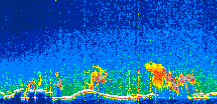/calipso-imagery/data/BROWSE/production/V5-00/2021-11-08/2021-11-08_03-49-27_V5.00_1_thmb.png image missing