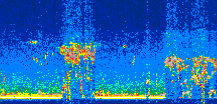 /calipso-imagery/data/BROWSE/production/V5-00/2021-11-08/2021-11-08_03-49-27_V5.00_3_thmb.png image missing