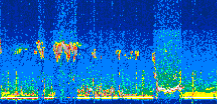 /calipso-imagery/data/BROWSE/production/V5-00/2021-11-08/2021-11-08_05-27-58_V5.00_3_thmb.png image missing
