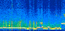 /calipso-imagery/data/BROWSE/production/V5-00/2021-11-08/2021-11-08_07-06-28_V5.00_2_thmb.png image missing