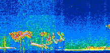 /calipso-imagery/data/BROWSE/production/V5-00/2021-11-08/2021-11-08_08-44-58_V5.00_2_thmb.png image missing