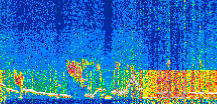 /calipso-imagery/data/BROWSE/production/V5-00/2021-11-08/2021-11-08_15-18-59_V5.00_2_thmb.png image missing