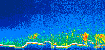 /calipso-imagery/data/BROWSE/production/V5-00/2021-12-04/2021-12-04_00-24-31_V5.00_1_thmb.png image missing