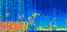 /calipso-imagery/data/BROWSE/production/V5-00/2021-12-04/2021-12-04_18-28-08_V5.00_3_thmb.png image missing
