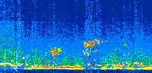 /calipso-imagery/data/BROWSE/production/V5-00/2021-12-04/2021-12-04_21-45-09_V5.00_2_thmb.png image missing