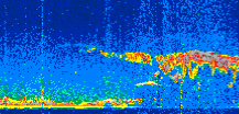 /calipso-imagery/data/BROWSE/production/V5-00/2021-12-06/2021-12-06_00-01-17_V5.00_3_thmb.png image missing