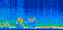 /calipso-imagery/data/BROWSE/production/V5-00/2021-12-06/2021-12-06_01-39-47_V5.00_2_thmb.png image missing