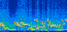 /calipso-imagery/data/BROWSE/production/V5-00/2021-12-06/2021-12-06_04-56-48_V5.00_2_thmb.png image missing