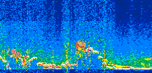 /calipso-imagery/data/BROWSE/production/V5-00/2021-12-06/2021-12-06_11-30-49_V5.00_2_thmb.png image missing