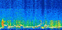 /calipso-imagery/data/BROWSE/production/V5-00/2021-12-06/2021-12-06_13-09-19_V5.00_2_thmb.png image missing