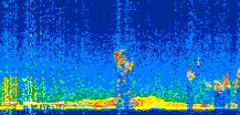 /calipso-imagery/data/BROWSE/production/V5-00/2021-12-06/2021-12-06_14-47-49_V5.00_3_thmb.png image missing