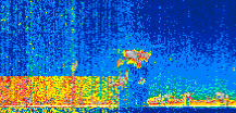 /calipso-imagery/data/BROWSE/production/V5-00/2021-12-06/2021-12-06_16-26-19_V5.00_3_thmb.png image missing