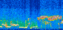 /calipso-imagery/data/BROWSE/production/V5-00/2021-12-07/2021-12-07_00-38-50_V5.00_2_thmb.png image missing