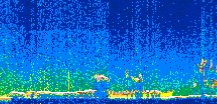 /calipso-imagery/data/BROWSE/production/V5-00/2021-12-07/2021-12-07_05-34-21_V5.00_2_thmb.png image missing