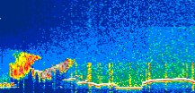 /calipso-imagery/data/BROWSE/production/V5-00/2021-12-07/2021-12-07_07-12-56_V5.00_1_thmb.png image missing