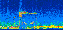 /calipso-imagery/data/BROWSE/production/V5-00/2021-12-07/2021-12-07_08-51-26_V5.00_3_thmb.png image missing