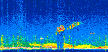 /calipso-imagery/data/BROWSE/production/V5-00/2021-12-07/2021-12-07_13-46-57_V5.00_3_thmb.png image missing
