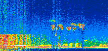 /calipso-imagery/data/BROWSE/production/V5-00/2021-12-07/2021-12-07_15-25-27_V5.00_3_thmb.png image missing