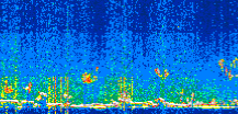 /calipso-imagery/data/BROWSE/production/V5-00/2021-12-08/2021-12-08_01-16-28_V5.00_2_thmb.png image missing