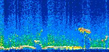 /calipso-imagery/data/BROWSE/production/V5-00/2021-12-08/2021-12-08_06-11-59_V5.00_2_thmb.png image missing