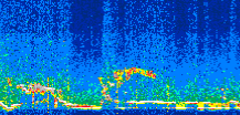 /calipso-imagery/data/BROWSE/production/V5-00/2021-12-08/2021-12-08_07-50-29_V5.00_2_thmb.png image missing