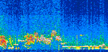 /calipso-imagery/data/BROWSE/production/V5-00/2021-12-08/2021-12-08_09-28-59_V5.00_2_thmb.png image missing
